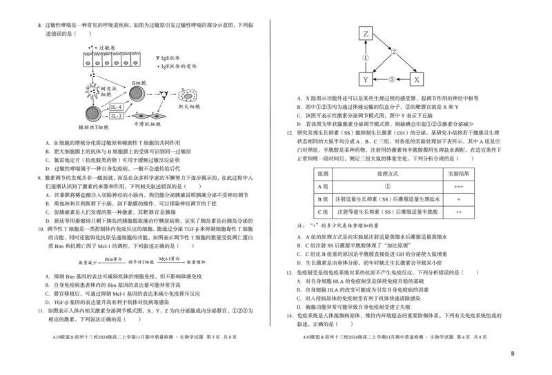 生物（B卷）A10联盟＆宿州十三校2024级高二上学期11月期中质量检测生物学b_2025年11月高二试卷_251124安徽省A10联盟＆宿州十三校2024级高二上学期11月期中质量检测（全）