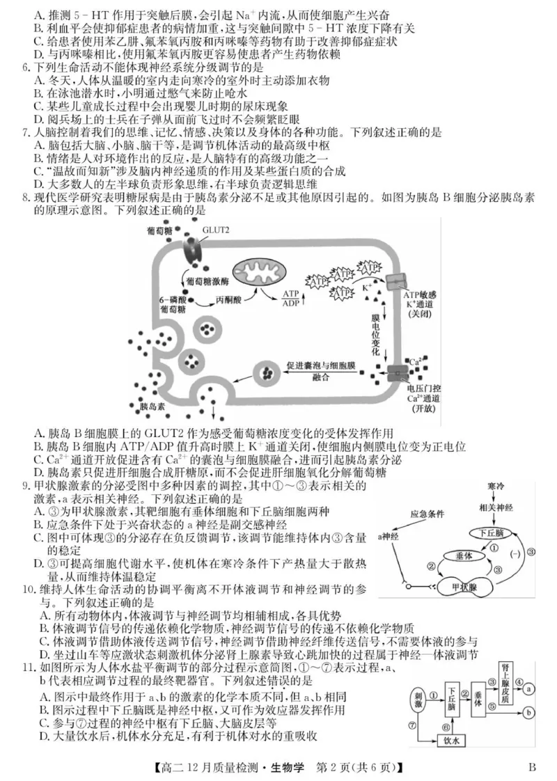 生物_2024-2025高二（7-7月题库）_2026年1月高二_260113河北省保定市部分高中2025-2026学年高二上学期12月月考（全）