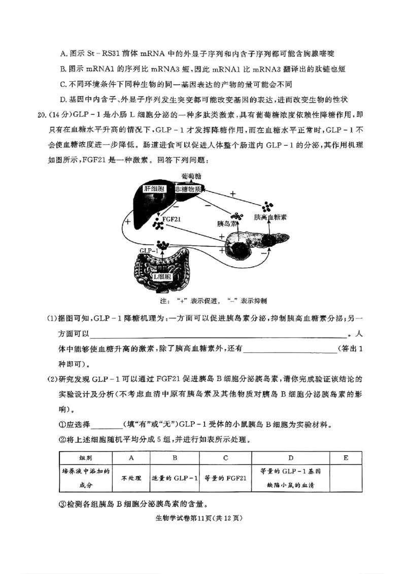 湖南省名校教育联盟&middot;2025届高三12月大联考生物_2024-2025高三（6-6月题库）_2024年12月试卷_1222湖南省名校教育联盟&middot;2025届高三12月大联考（全科）