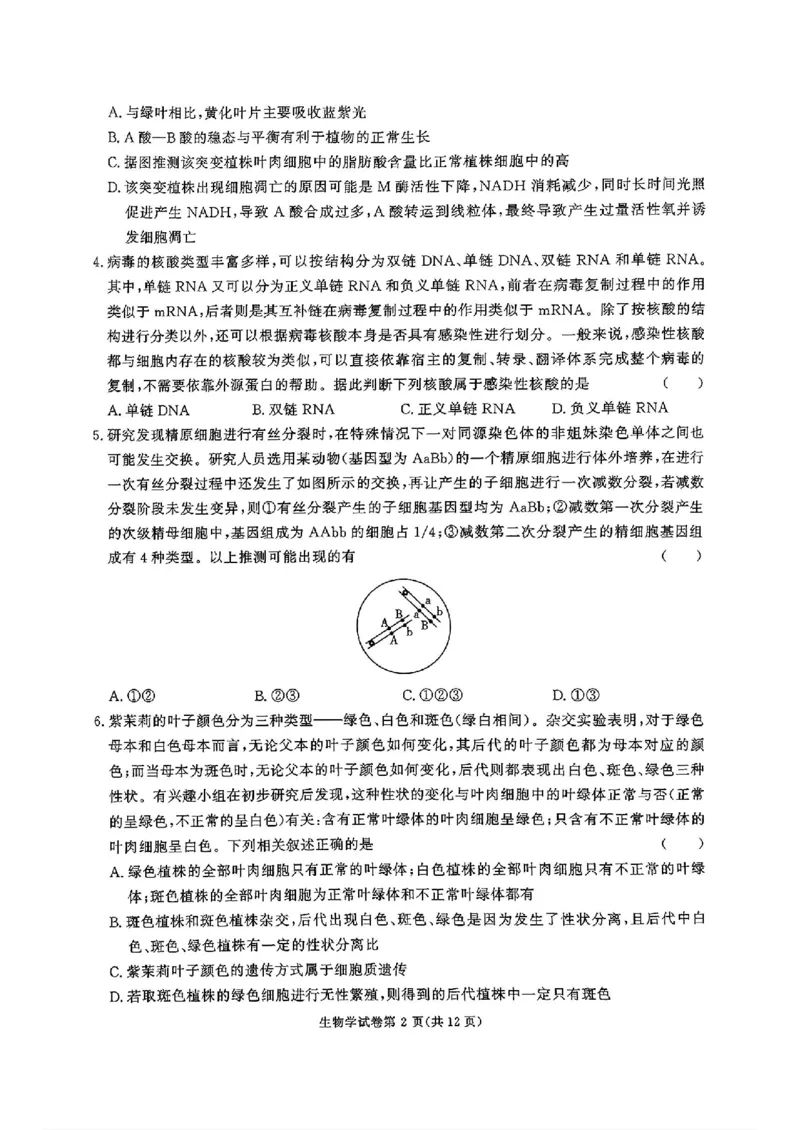 湖南省名校教育联盟&middot;2025届高三12月大联考生物_2024-2025高三（6-6月题库）_2024年12月试卷_1222湖南省名校教育联盟&middot;2025届高三12月大联考（全科）