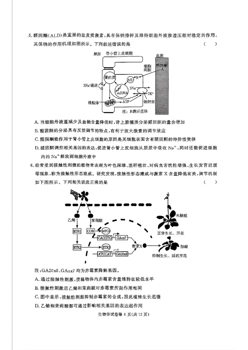 湖南省名校教育联盟&middot;2025届高三12月大联考生物_2024-2025高三（6-6月题库）_2024年12月试卷_1222湖南省名校教育联盟&middot;2025届高三12月大联考（全科）