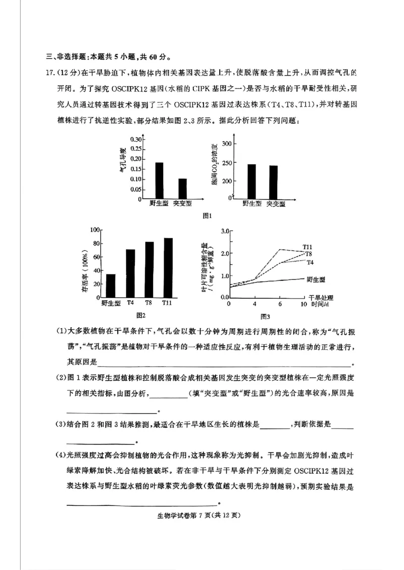 湖南省名校教育联盟&middot;2025届高三12月大联考生物_2024-2025高三（6-6月题库）_2024年12月试卷_1222湖南省名校教育联盟&middot;2025届高三12月大联考（全科）