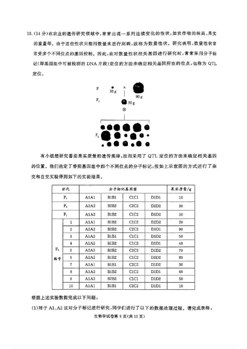 湖南省名校教育联盟&middot;2025届高三12月大联考生物_2024-2025高三（6-6月题库）_2024年12月试卷_1222湖南省名校教育联盟&middot;2025届高三12月大联考（全科）