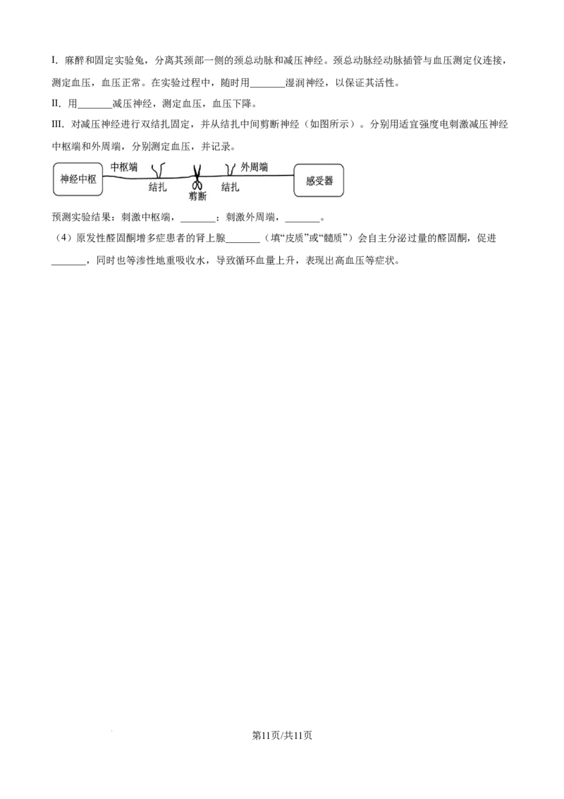 精品解析：黑龙江省龙东联盟2025-2026学年高二上学期10月月考生物试题（原卷版）_2025年10月高二试卷_251014黑龙江省龙东十校联盟2025-2026学年高二上学期10月月考（全）