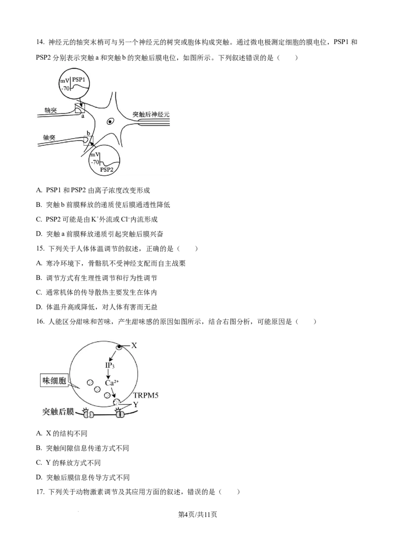 精品解析：黑龙江省龙东联盟2025-2026学年高二上学期10月月考生物试题（原卷版）_2025年10月高二试卷_251014黑龙江省龙东十校联盟2025-2026学年高二上学期10月月考（全）