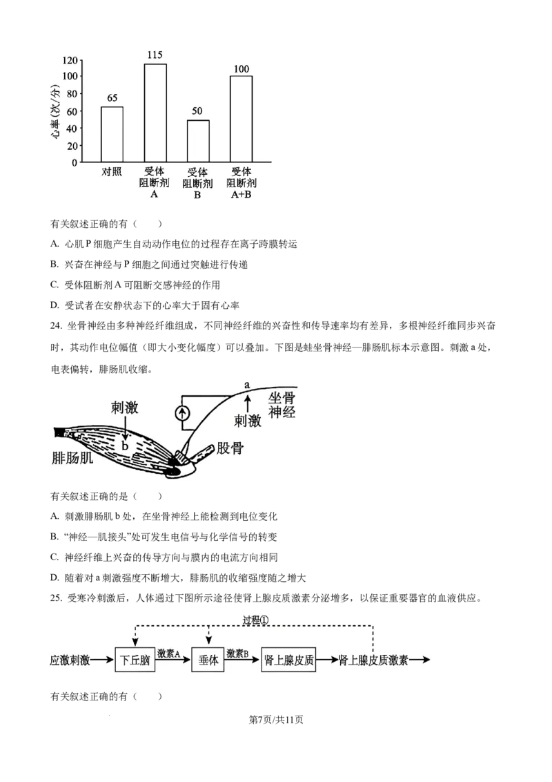 精品解析：黑龙江省龙东联盟2025-2026学年高二上学期10月月考生物试题（原卷版）_2025年10月高二试卷_251014黑龙江省龙东十校联盟2025-2026学年高二上学期10月月考（全）