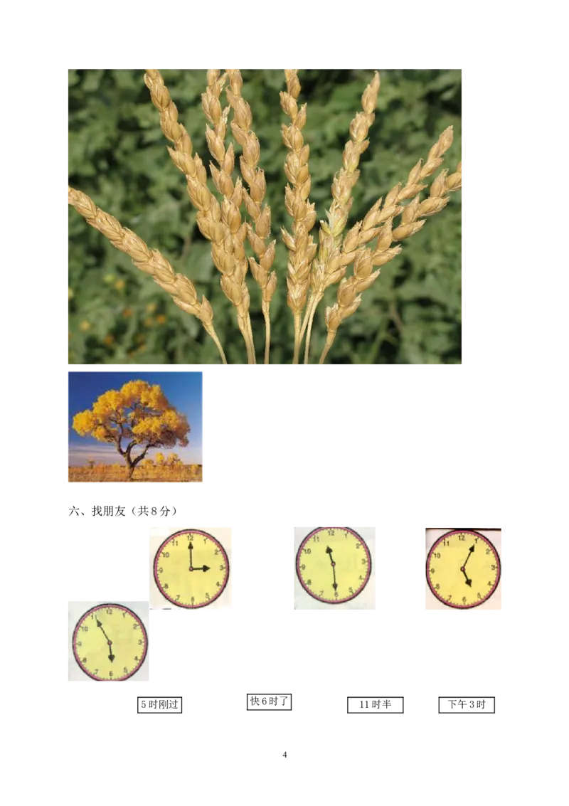 人教版一年级数学上册期末测试卷7_小学1-6年级全部试卷_数学_一年级_3-6-3、小学一年级数学上册_3-6-3-2、练习题、作业、试题、试卷_人教版_期末试题