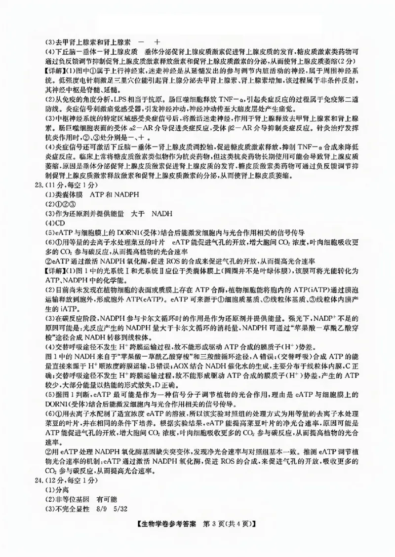生物试卷答案_2024-2025高三（6-6月题库）_2024年12月试卷_1219浙江省强基联盟2024年12月高三联考_浙江省强基联盟2024年12月高三联考生物