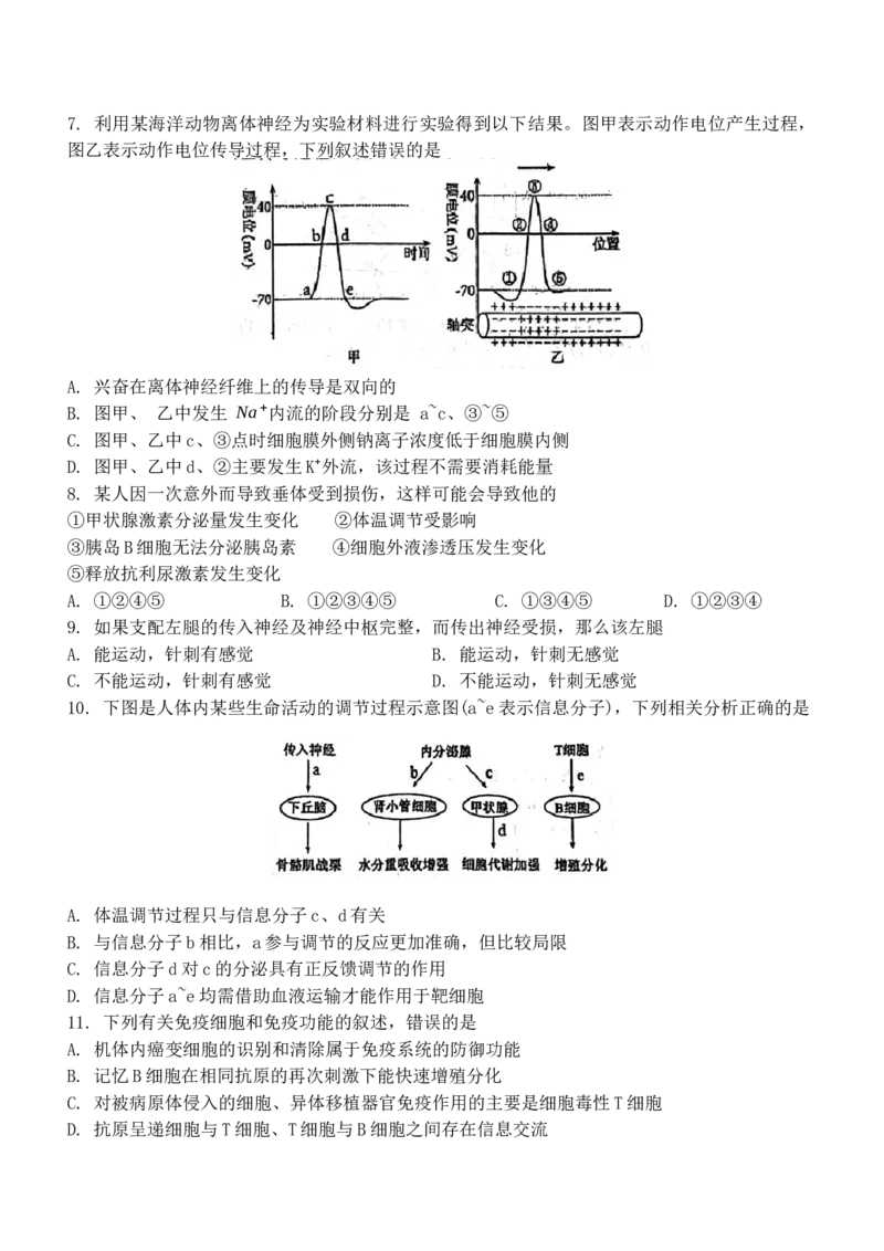 黑龙江省牡丹江市第一高级中学2024-2025学年高二上学期11月期中考试生物Word版含答案_2024-2025高二（7-7月题库）_2024年11月试卷