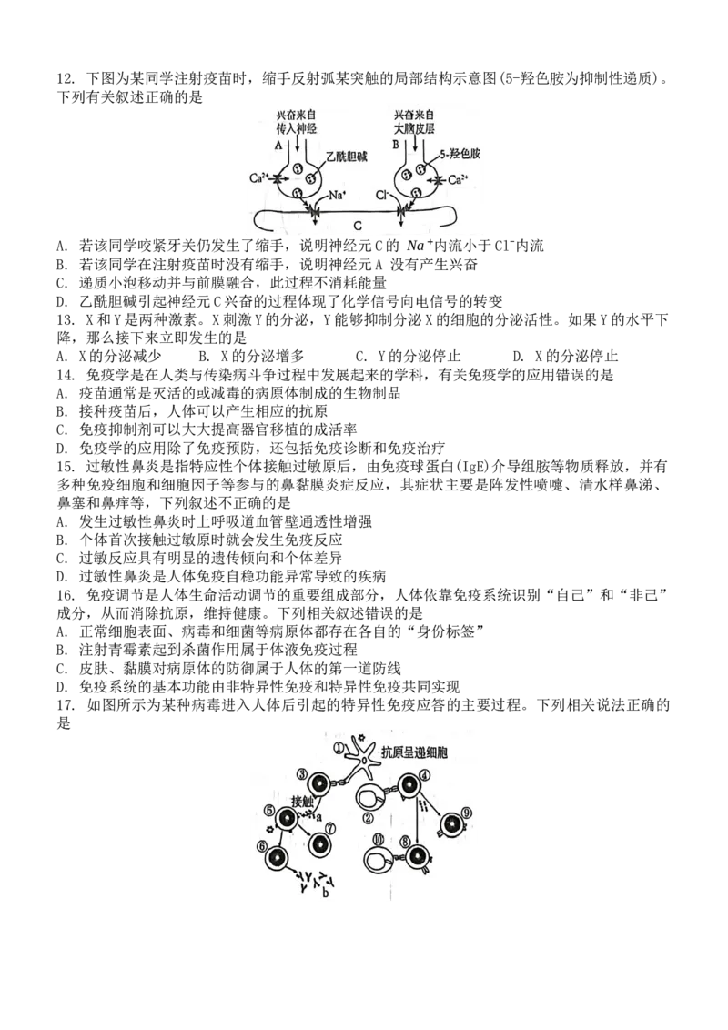 黑龙江省牡丹江市第一高级中学2024-2025学年高二上学期11月期中考试生物Word版含答案_2024-2025高二（7-7月题库）_2024年11月试卷
