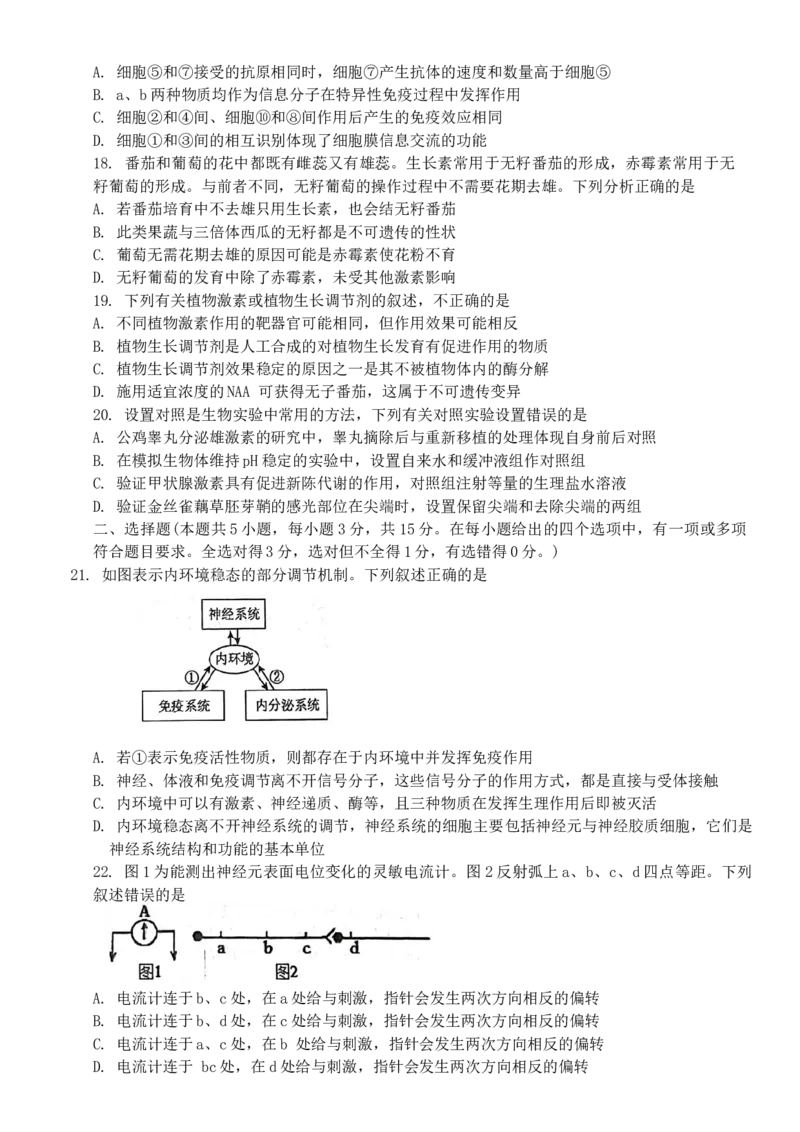 黑龙江省牡丹江市第一高级中学2024-2025学年高二上学期11月期中考试生物Word版含答案_2024-2025高二（7-7月题库）_2024年11月试卷