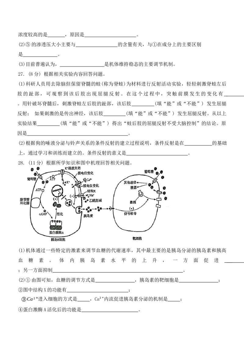 黑龙江省牡丹江市第一高级中学2024-2025学年高二上学期11月期中考试生物Word版含答案_2024-2025高二（7-7月题库）_2024年11月试卷