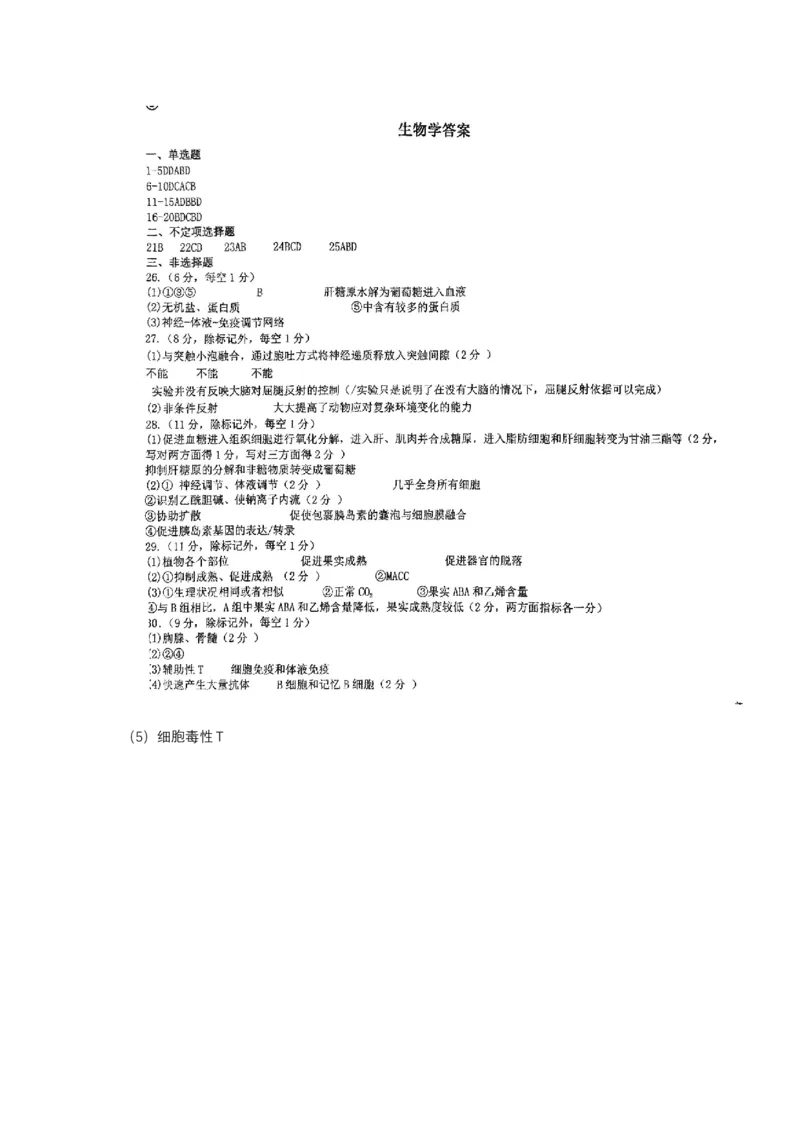 黑龙江省牡丹江市第一高级中学2024-2025学年高二上学期11月期中考试生物Word版含答案_2024-2025高二（7-7月题库）_2024年11月试卷