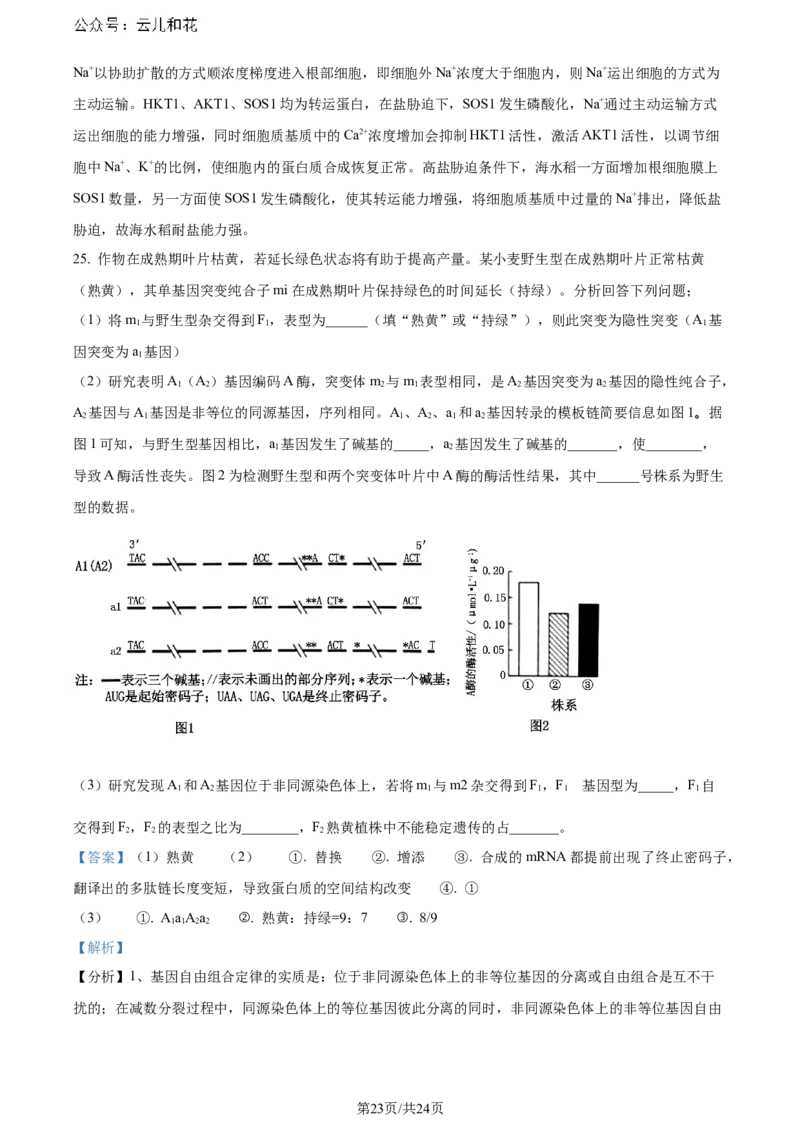精品解析：重庆市巴蜀中学校2023-2024学年高二下学期7月期末考试生物试题（解析版）_2024-2025高二（7-7月题库）_2024年07月试卷_0722重庆市巴蜀中学2023-2024学年高二下学期期末