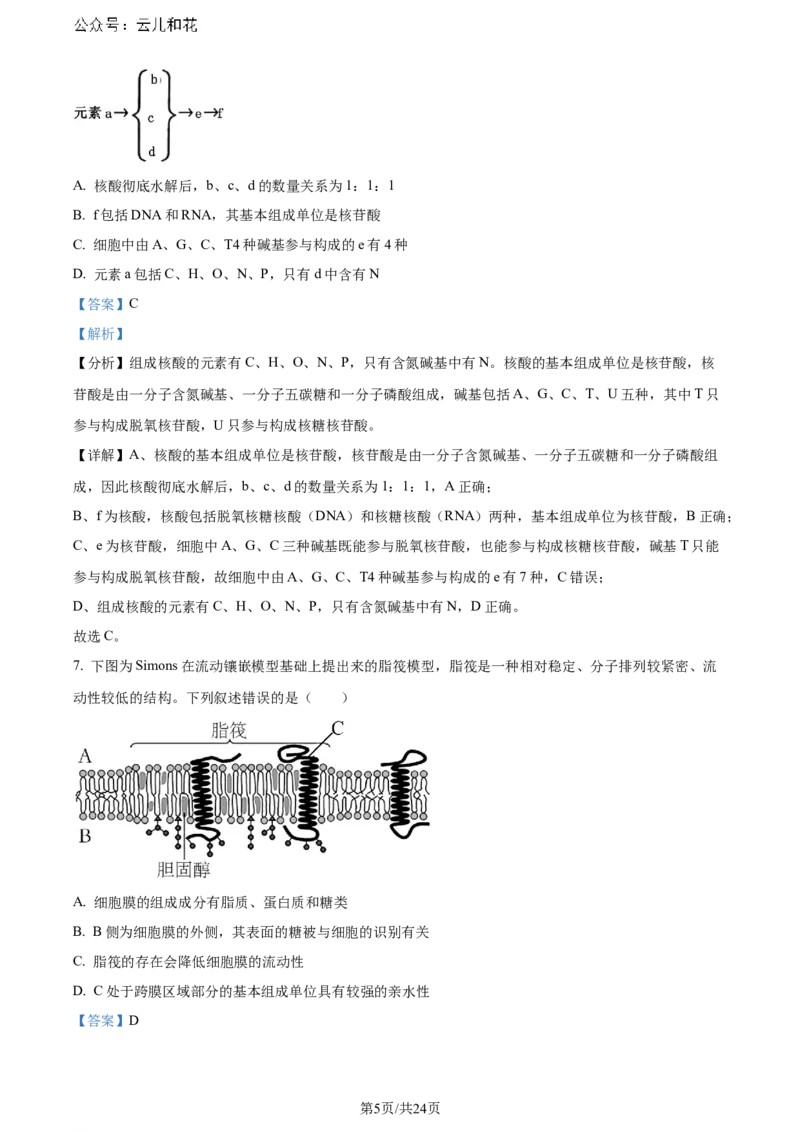 精品解析：重庆市巴蜀中学校2023-2024学年高二下学期7月期末考试生物试题（解析版）_2024-2025高二（7-7月题库）_2024年07月试卷_0722重庆市巴蜀中学2023-2024学年高二下学期期末