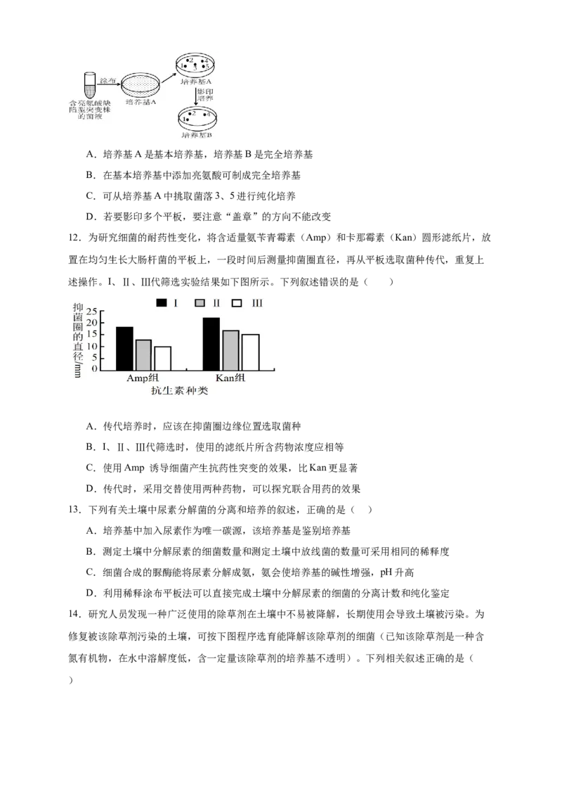 陕西省西安市雁塔区第二中学2024-2025学年高二下学期第一次月考生物试题_2024-2025高二（7-7月题库）_2025年03月试卷_0323陕西省西安市雁塔区第二中学2024-2025学年高二下学期第一次月考