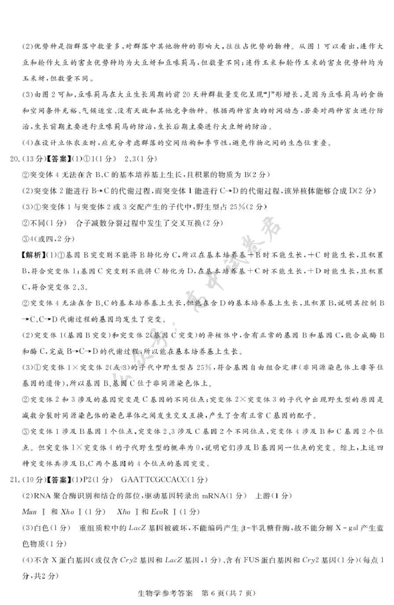 湘豫名校联考2025-2026学年高三上学期12月月考生物答案_2024-2026高三（6-6月题库）_2025年12月高三试卷_251225河南省湘豫名校联考2025年12月高三上学期质量检测（全科）