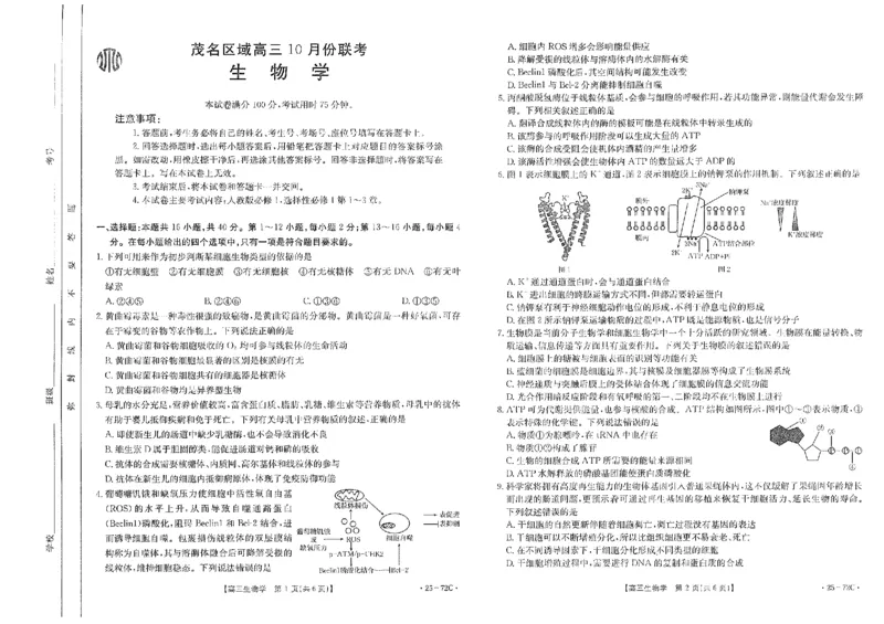 高三生物_2024-2025高三（6-6月题库）_2024年10月试卷_1022广东茂名区域2025届高三10月金太阳联考（25-72C）