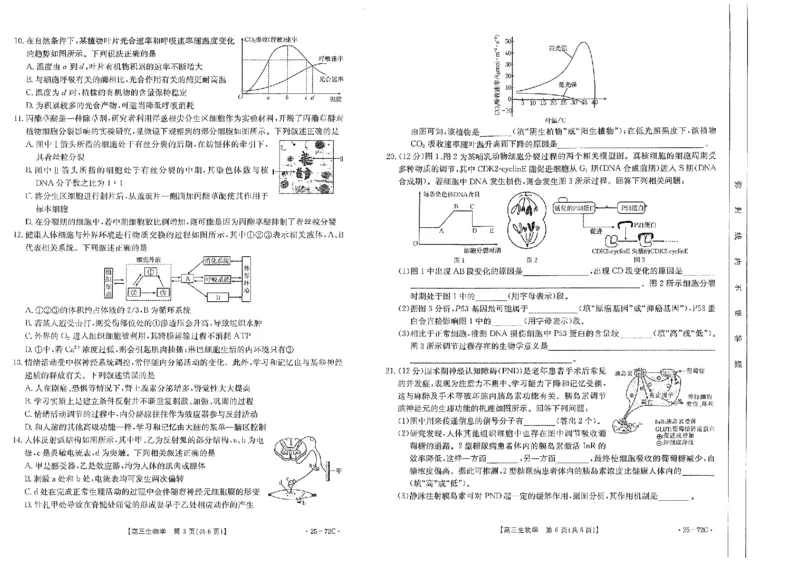高三生物_2024-2025高三（6-6月题库）_2024年10月试卷_1022广东茂名区域2025届高三10月金太阳联考（25-72C）