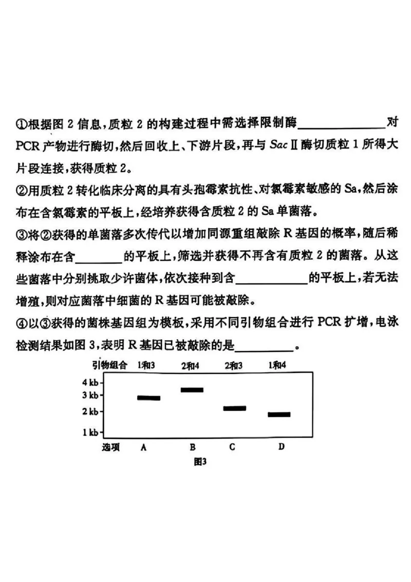 湖南省长沙市长郡中学2024-2025学年高三上学期月考卷（四）生物试卷+答案_2024-2025高三（6-6月题库）_2024年12月试卷_1231湖南省长郡中学2025届高三上学期月考试卷（四）（全科）