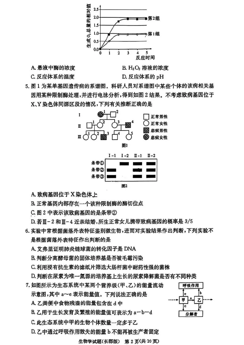 湖南省长沙市长郡中学2024-2025学年高三上学期月考卷（四）生物试卷+答案_2024-2025高三（6-6月题库）_2024年12月试卷_1231湖南省长郡中学2025届高三上学期月考试卷（四）（全科）