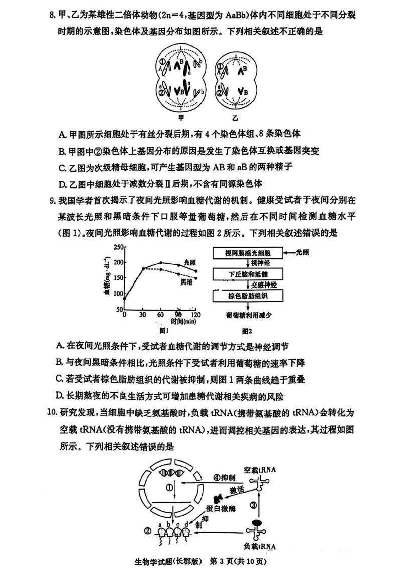 湖南省长沙市长郡中学2024-2025学年高三上学期月考卷（四）生物试卷+答案_2024-2025高三（6-6月题库）_2024年12月试卷_1231湖南省长郡中学2025届高三上学期月考试卷（四）（全科）