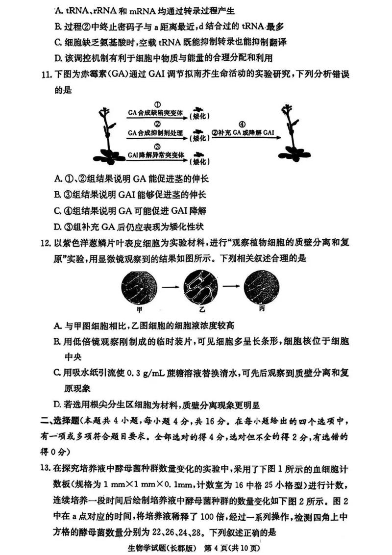 湖南省长沙市长郡中学2024-2025学年高三上学期月考卷（四）生物试卷+答案_2024-2025高三（6-6月题库）_2024年12月试卷_1231湖南省长郡中学2025届高三上学期月考试卷（四）（全科）
