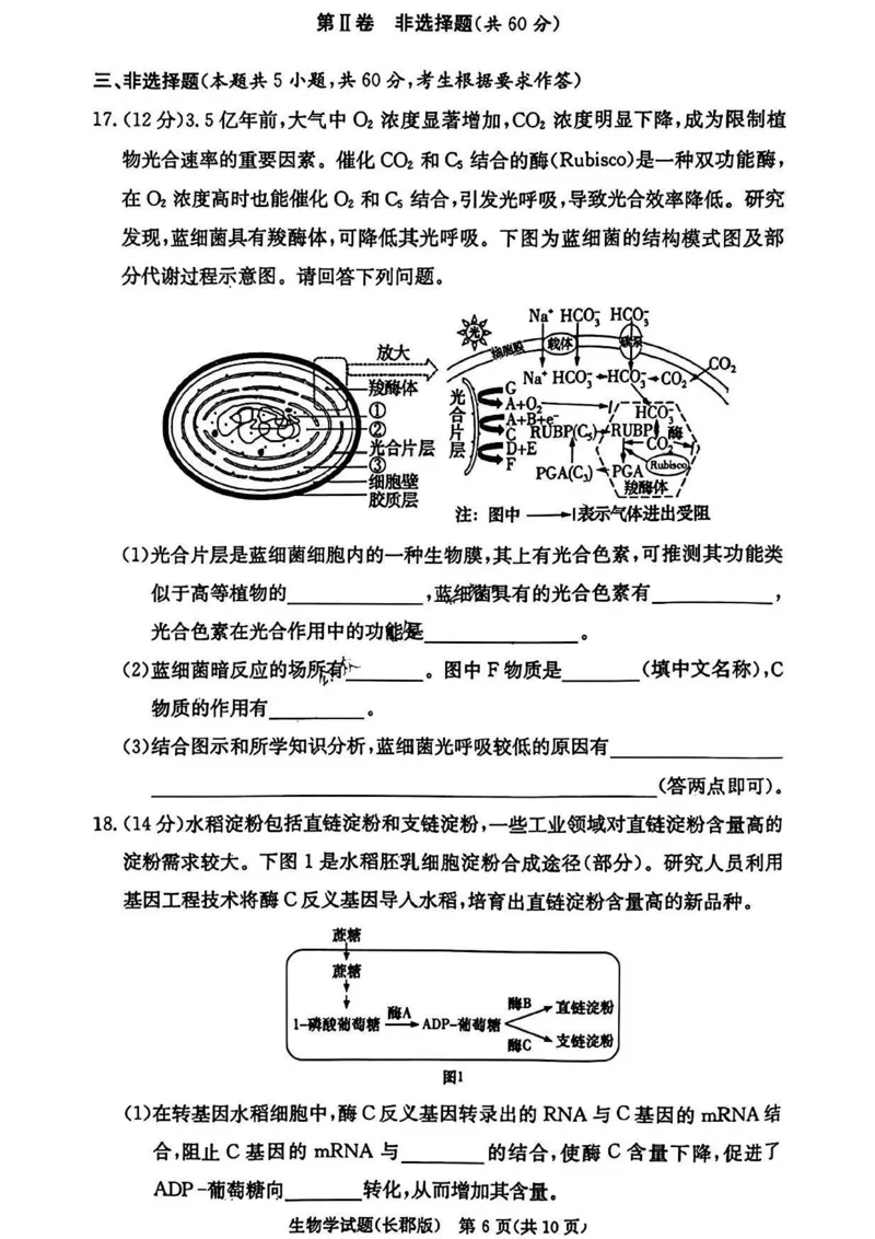 湖南省长沙市长郡中学2024-2025学年高三上学期月考卷（四）生物试卷+答案_2024-2025高三（6-6月题库）_2024年12月试卷_1231湖南省长郡中学2025届高三上学期月考试卷（四）（全科）