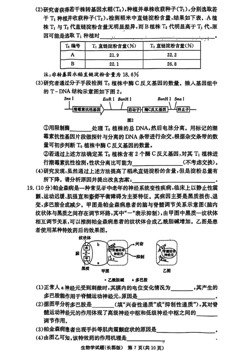 湖南省长沙市长郡中学2024-2025学年高三上学期月考卷（四）生物试卷+答案_2024-2025高三（6-6月题库）_2024年12月试卷_1231湖南省长郡中学2025届高三上学期月考试卷（四）（全科）