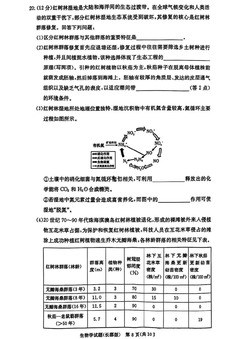 湖南省长沙市长郡中学2024-2025学年高三上学期月考卷（四）生物试卷+答案_2024-2025高三（6-6月题库）_2024年12月试卷_1231湖南省长郡中学2025届高三上学期月考试卷（四）（全科）