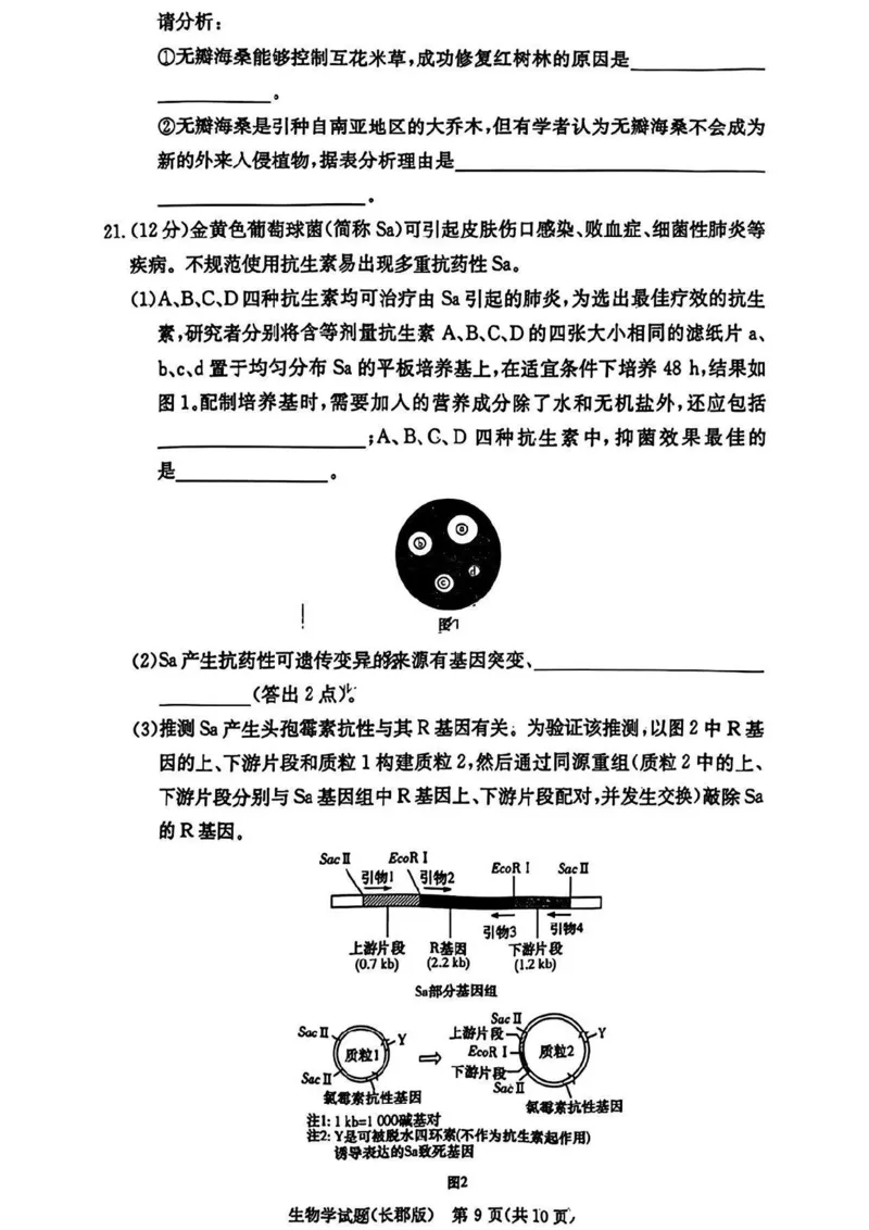 湖南省长沙市长郡中学2024-2025学年高三上学期月考卷（四）生物试卷+答案_2024-2025高三（6-6月题库）_2024年12月试卷_1231湖南省长郡中学2025届高三上学期月考试卷（四）（全科）