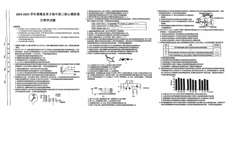 湖北省黄冈市黄梅县育才高级中学2024-2025学年高三核心模拟预测生物_2024-2025高三（6-6月题库）_2024年12月试卷_1231湖北省黄冈市黄梅县育才高级中学2024-2025学年高三核心模拟预测试题