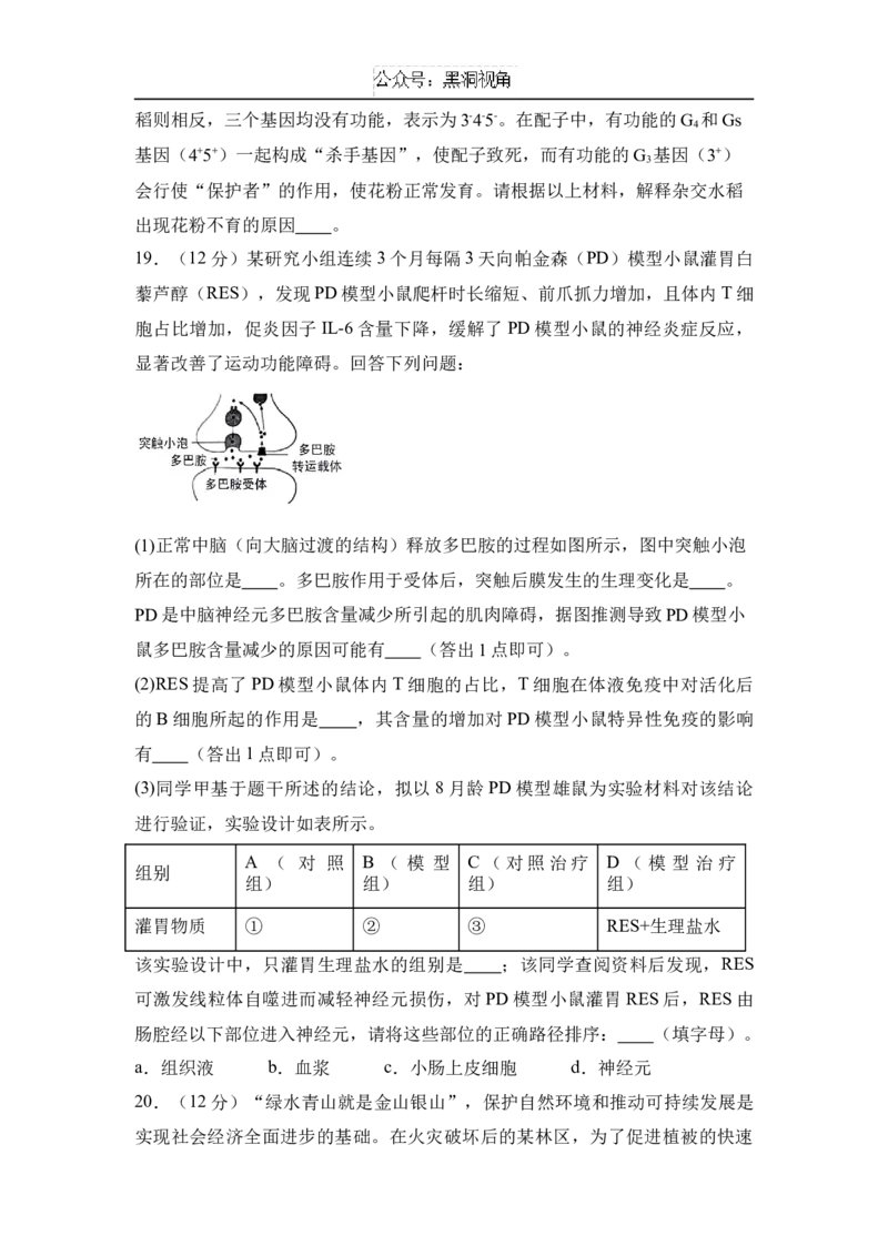 湖南省名校联考2024-2025学年高三上学期10月联考生物试题(含解析)_2024-2025高三（6-6月题库）_2024年11月试卷_1104湖南省名校联考2024-2025学年高三上学期10月月考