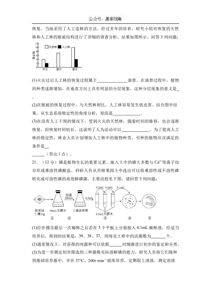 湖南省名校联考2024-2025学年高三上学期10月联考生物试题(含解析)_2024-2025高三（6-6月题库）_2024年11月试卷_1104湖南省名校联考2024-2025学年高三上学期10月月考
