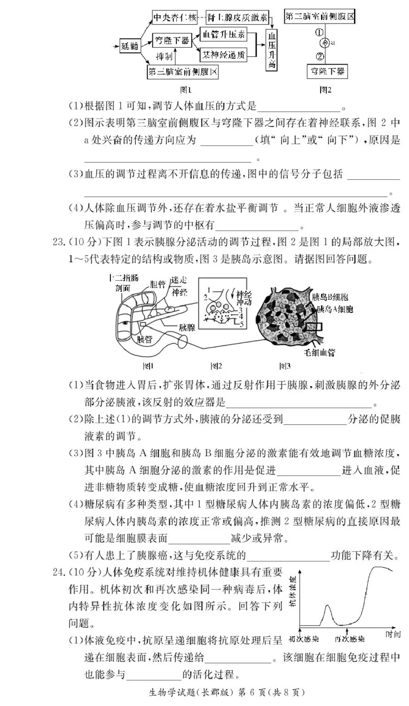 生物试卷（高二期中CJ）_2024-2025高二（7-7月题库）_2024年11月试卷_1106湖南省长沙市长郡中学2024-2025学年高二上学期期中考试