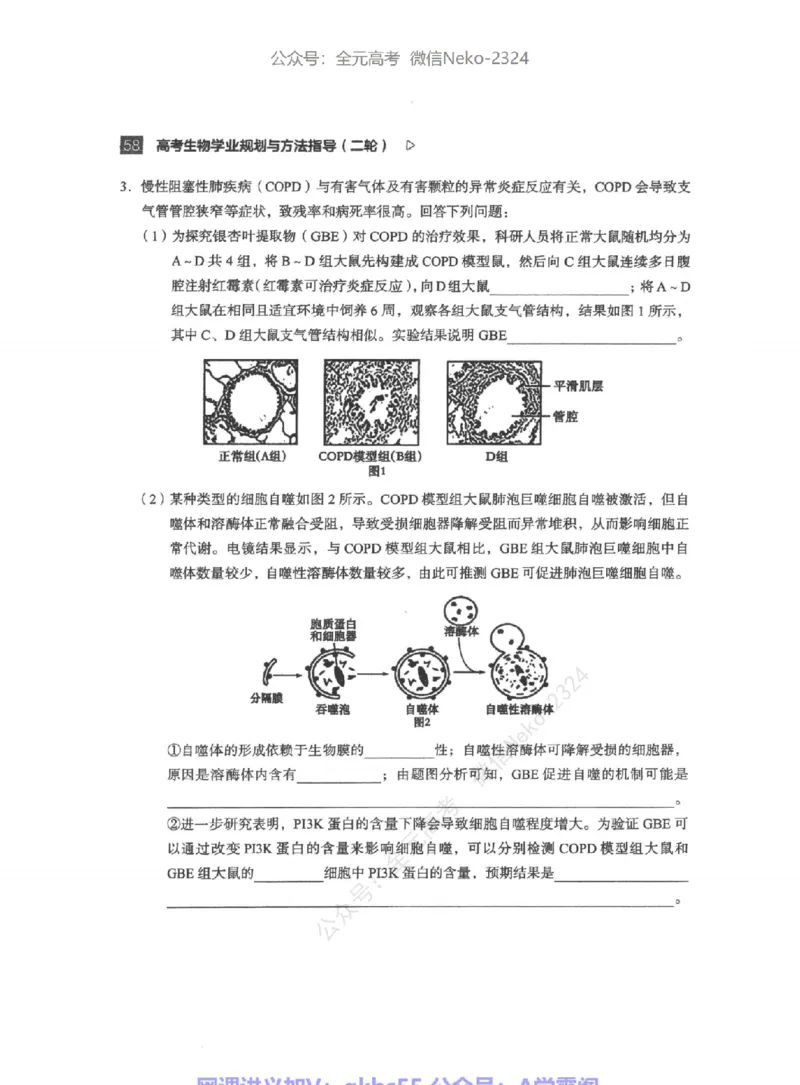 高考生物学业规划与方法指导二轮寒-薄本@_2024-2025高三（6-6月题库）_2024年09月试卷_万猛