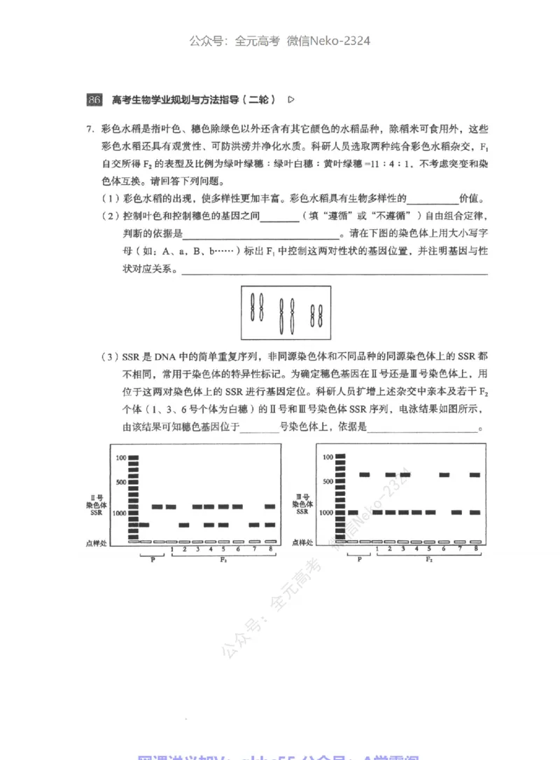 高考生物学业规划与方法指导二轮寒-薄本@_2024-2025高三（6-6月题库）_2024年09月试卷_万猛