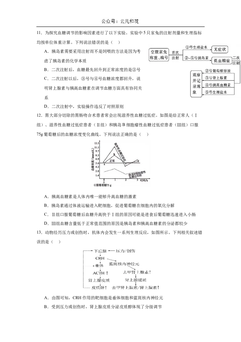 福建省厦泉五校2024-2025学年高二上学期11月期中联考生物试题_2024-2025高二（7-7月题库）_2024年11月试卷_1126福建省厦门市、泉州市五校2024-2025学年高二上学期11月期中联考试题