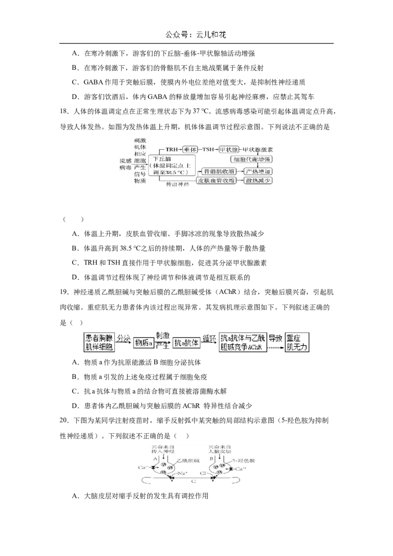 福建省厦泉五校2024-2025学年高二上学期11月期中联考生物试题_2024-2025高二（7-7月题库）_2024年11月试卷_1126福建省厦门市、泉州市五校2024-2025学年高二上学期11月期中联考试题