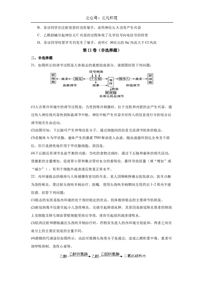 福建省厦泉五校2024-2025学年高二上学期11月期中联考生物试题_2024-2025高二（7-7月题库）_2024年11月试卷_1126福建省厦门市、泉州市五校2024-2025学年高二上学期11月期中联考试题