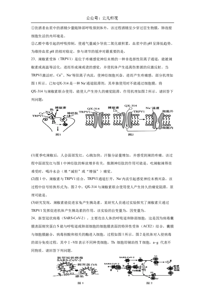 福建省厦泉五校2024-2025学年高二上学期11月期中联考生物试题_2024-2025高二（7-7月题库）_2024年11月试卷_1126福建省厦门市、泉州市五校2024-2025学年高二上学期11月期中联考试题