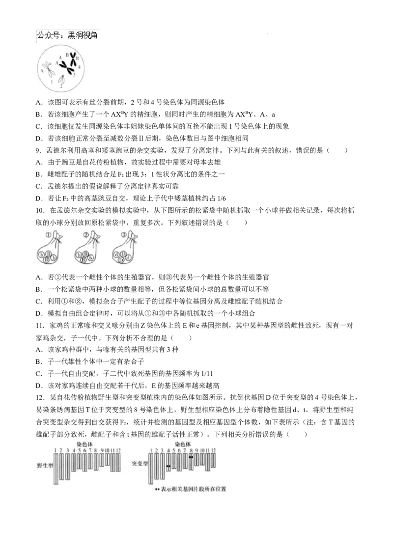 湖南省长沙市第一中学2024-2025学年高三上学期月考卷（一）生物试题+答案_2024-2025高三（6-6月题库）_2024年08月试卷_0830湖南省长沙市第一中学2025届高三上学期月考卷（一）