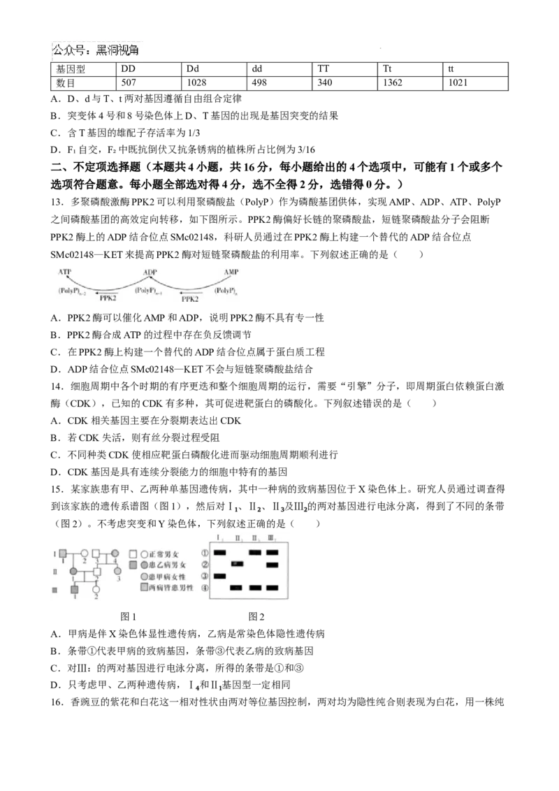 湖南省长沙市第一中学2024-2025学年高三上学期月考卷（一）生物试题+答案_2024-2025高三（6-6月题库）_2024年08月试卷_0830湖南省长沙市第一中学2025届高三上学期月考卷（一）