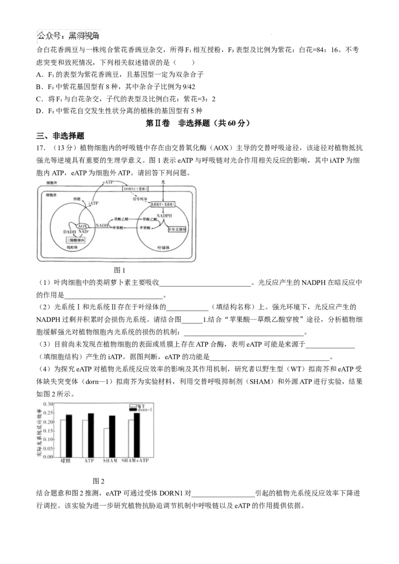 湖南省长沙市第一中学2024-2025学年高三上学期月考卷（一）生物试题+答案_2024-2025高三（6-6月题库）_2024年08月试卷_0830湖南省长沙市第一中学2025届高三上学期月考卷（一）