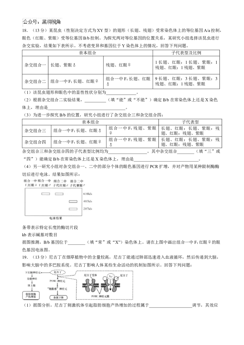 湖南省长沙市第一中学2024-2025学年高三上学期月考卷（一）生物试题+答案_2024-2025高三（6-6月题库）_2024年08月试卷_0830湖南省长沙市第一中学2025届高三上学期月考卷（一）