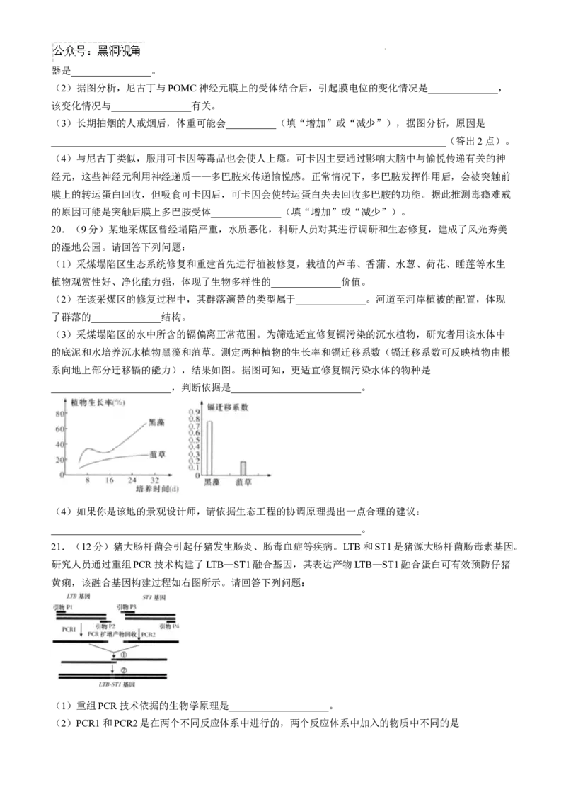 湖南省长沙市第一中学2024-2025学年高三上学期月考卷（一）生物试题+答案_2024-2025高三（6-6月题库）_2024年08月试卷_0830湖南省长沙市第一中学2025届高三上学期月考卷（一）