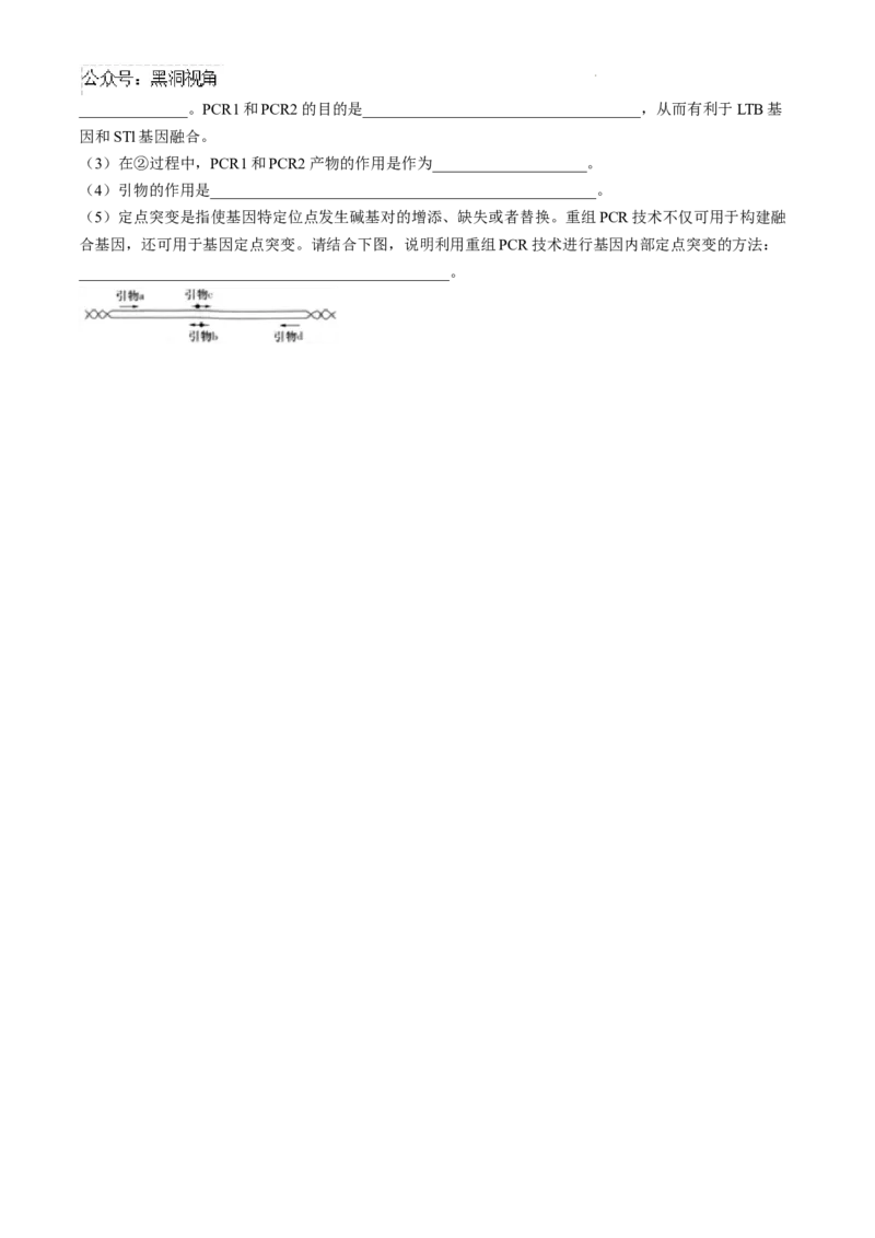 湖南省长沙市第一中学2024-2025学年高三上学期月考卷（一）生物试题+答案_2024-2025高三（6-6月题库）_2024年08月试卷_0830湖南省长沙市第一中学2025届高三上学期月考卷（一）