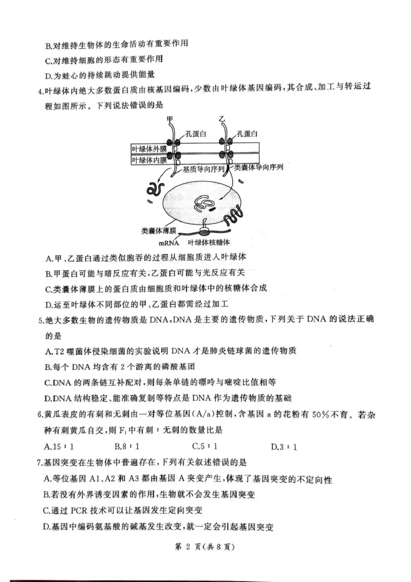 百师联盟2025&mdash;2026学年高三年级上学期期末考试生物_2024-2026高三（6-6月题库）_2026年01月高三试卷_0108甘肃省百师联盟2025&mdash;2026学年高三年级上学期期末考试（全）