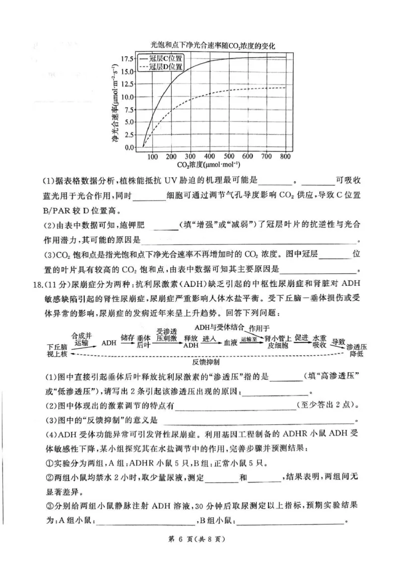 百师联盟2025&mdash;2026学年高三年级上学期期末考试生物_2024-2026高三（6-6月题库）_2026年01月高三试卷_0108甘肃省百师联盟2025&mdash;2026学年高三年级上学期期末考试（全）