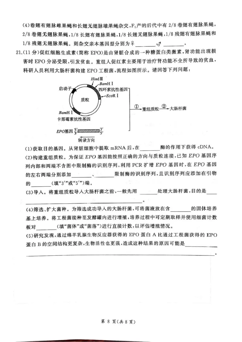 百师联盟2025&mdash;2026学年高三年级上学期期末考试生物_2024-2026高三（6-6月题库）_2026年01月高三试卷_0108甘肃省百师联盟2025&mdash;2026学年高三年级上学期期末考试（全）